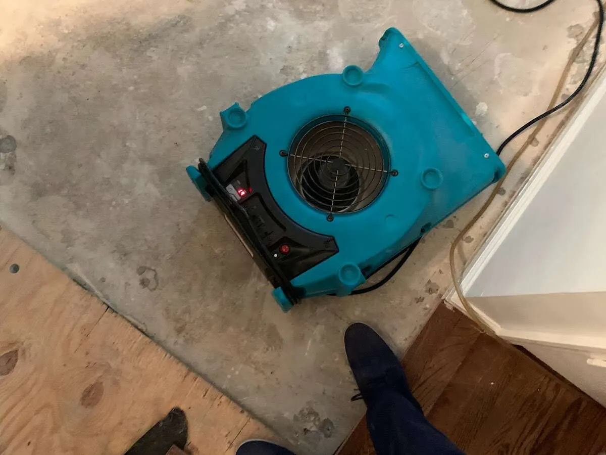 Air mover drying subfloor during Commercial Water Damage Restoration in Madera